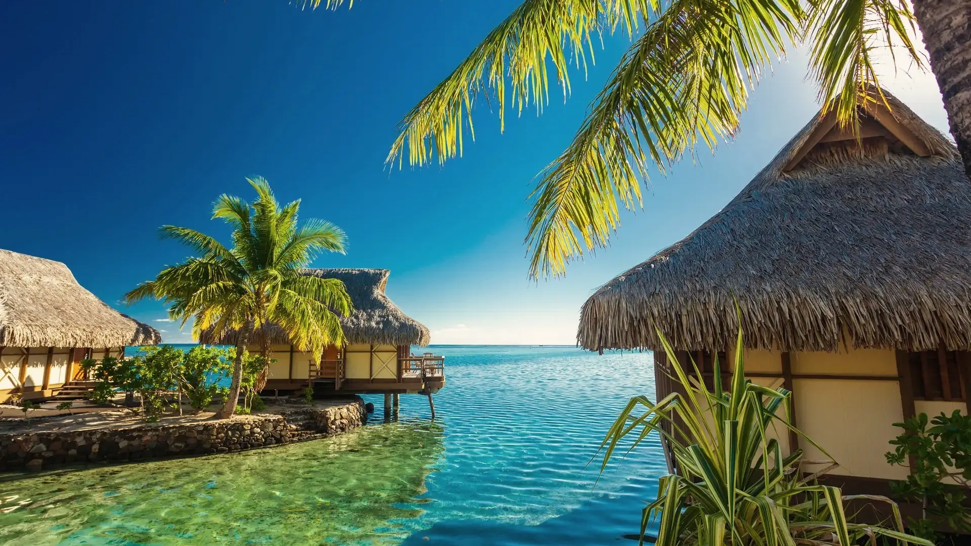 Overwater-Bungalows und Palmen über einer grünen Lagune in Französisch-Polynesien